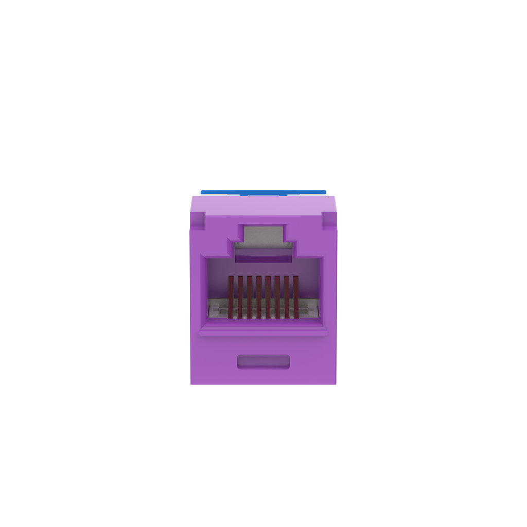 PAN CJUD6X88TGVL