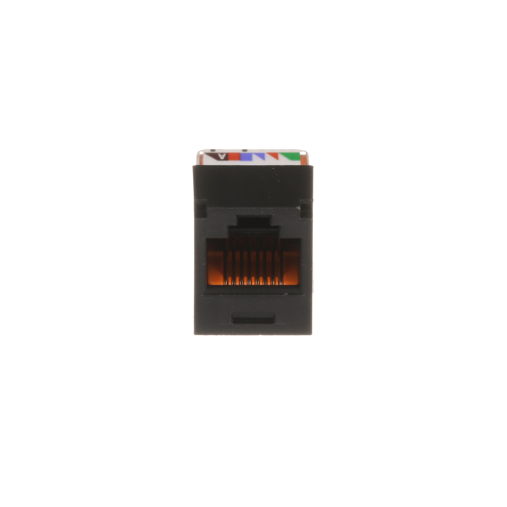PAN CJ588BLY
