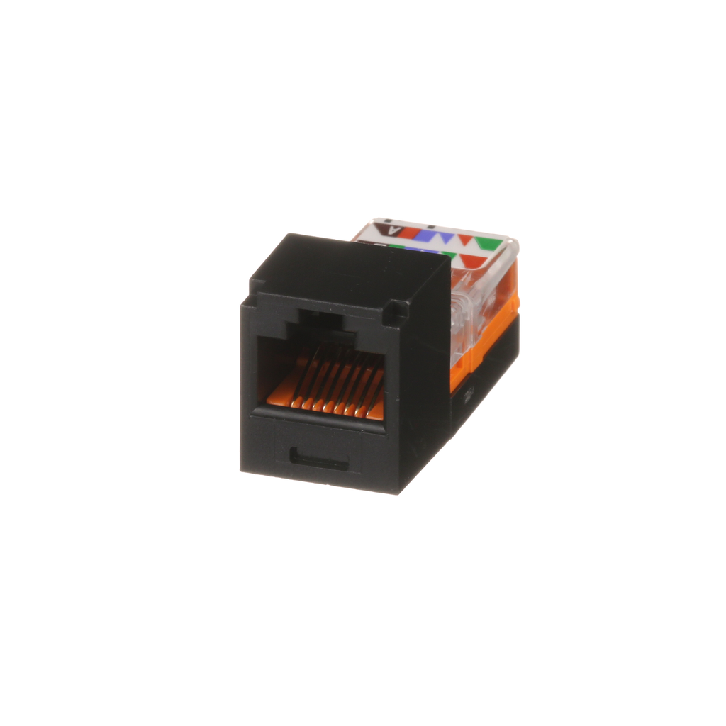 PAN CJ588BLY