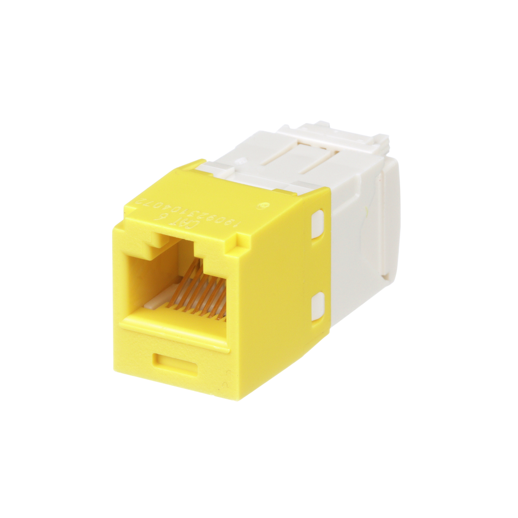 PAN CJ688TGYL-24