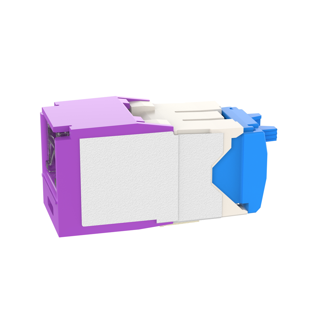 PAN CJH6X88TGVL
