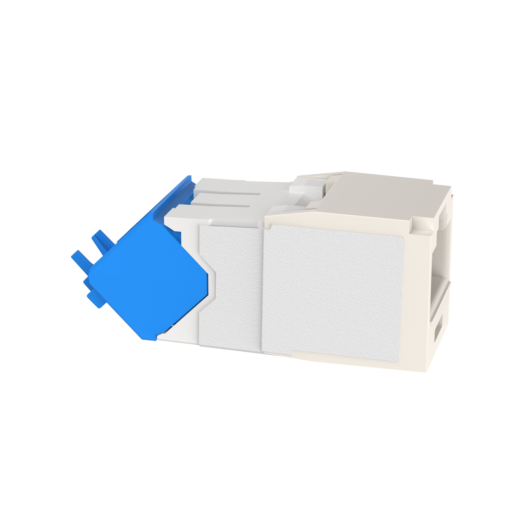 PAN CJUD6X88TGWH