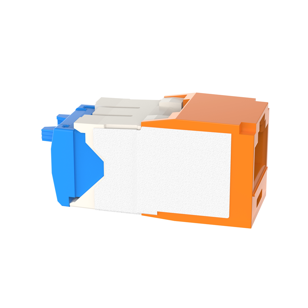 PAN CJ6X88TGOR-24