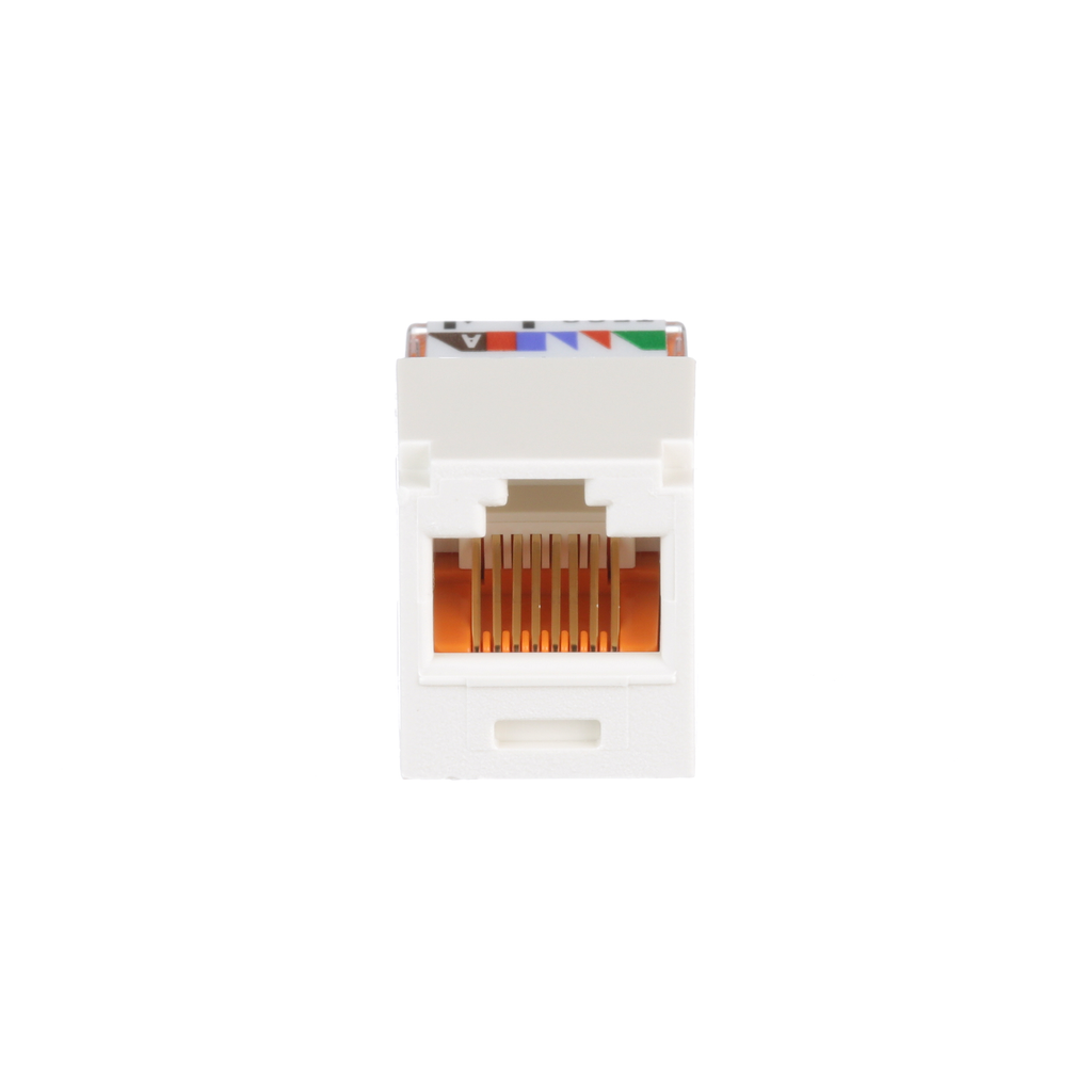 PAN CJ588IWY