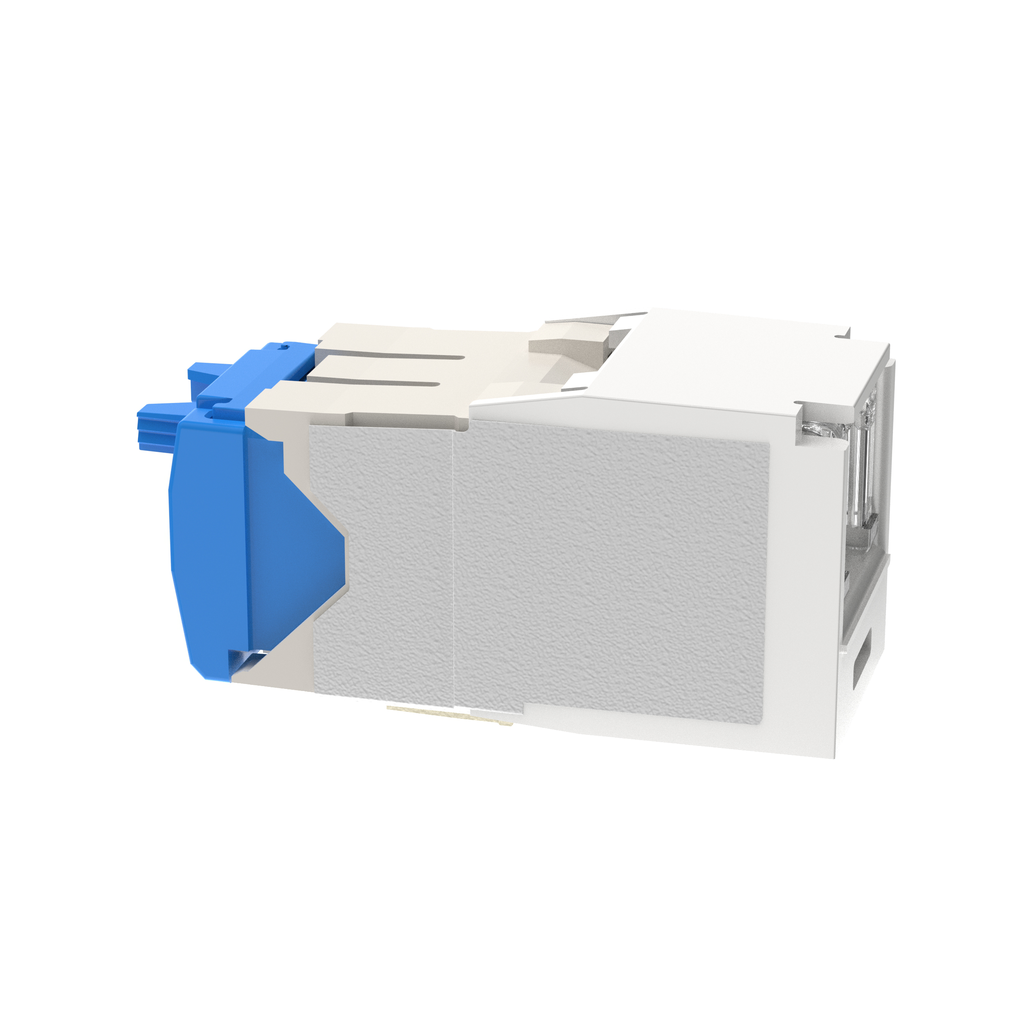 PAN CJH6X88TGIW