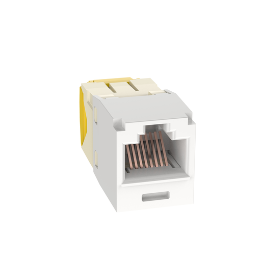 Mini-Com® UTP RJ45 Cat 5e TG Jack Module, IW