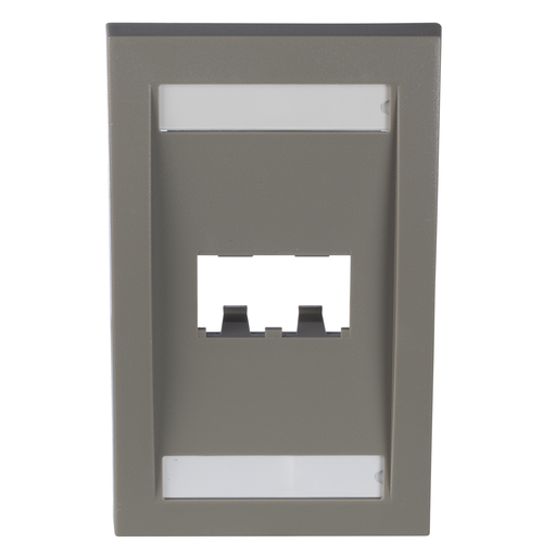 Mini-Com®, Executive, Faceplate, 2 port, International Gray