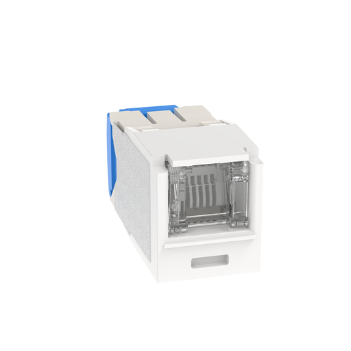 Mini-Com® RJ45 Cat 6A Shuttered TG Jack Module, AW