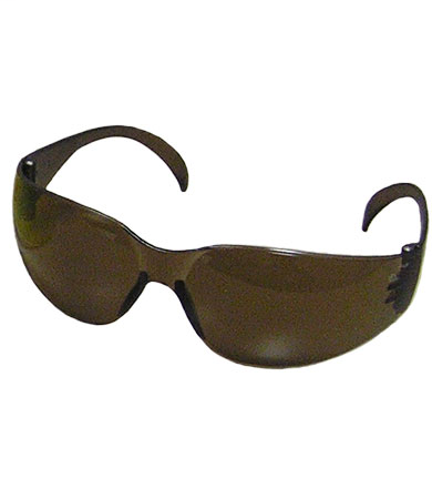 PIP 250-01-5504 Z12, BRN AS LENS,BRN TMPLS, , RELAXED BRIDGE,FLEXIBLE TMPLS LIKELY SUBJECT TOTAX PIP 250-01-5504 Z12, BRN AS LENS,BRN TMPLS, , RELAXED BRIDGE,FLEXIBLE TMPLS LIKELY SUBJECT TOTAX