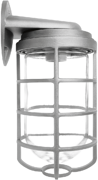 Vapor Proof 200 Wall Bracket With Glass Globe Wire Guard