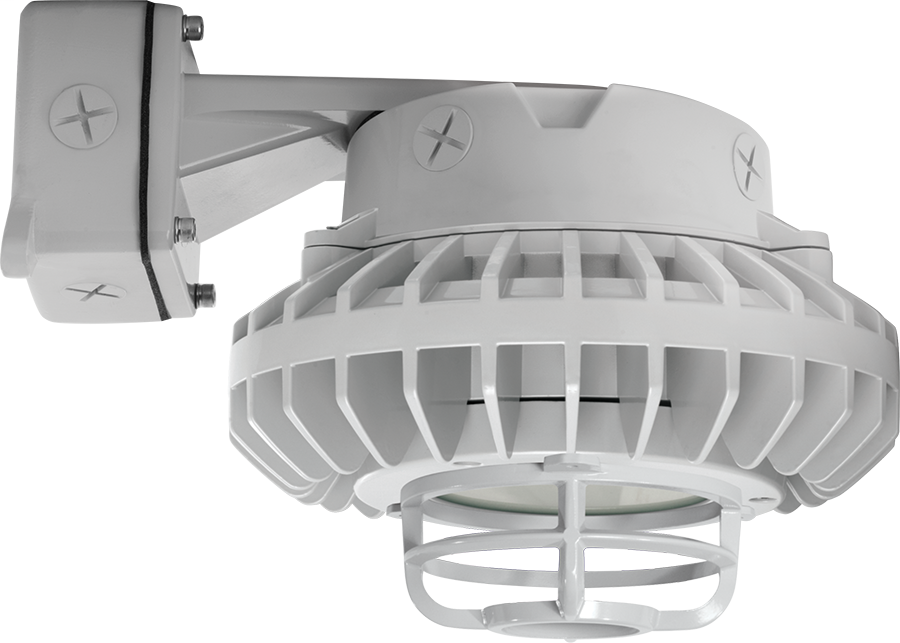 Hazled 42W Cool LED Wall Bracket Frosted Flat Lens Die Cast Guard