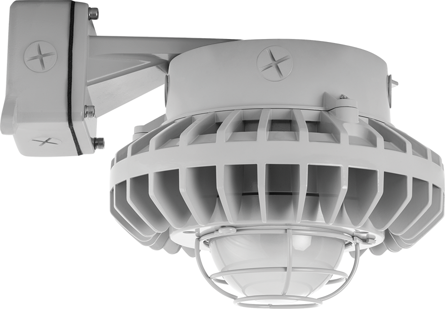 Hazled 42W Cool LED Wall Bracket With Frosted Globe Wire Guard Gray