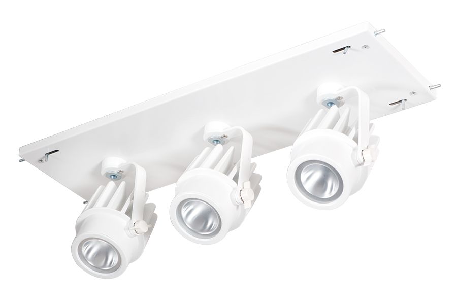 Multi 3X12W LED 3500K 20 Degrees White Gear Tray White Head 120V - 277V