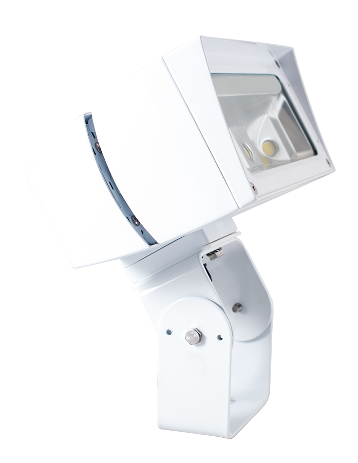 Future Flood 39W 7X6 120V PCS Warm LED Trunnion On White