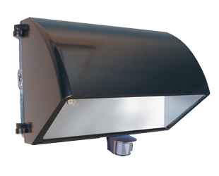 Product image for RAB WP2CF42MS BRZ 42W CFL WALLPACK