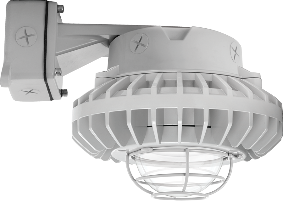 Hazled 26W Cool LED Wall Bracket With Clear Globe Wire Guard Gray