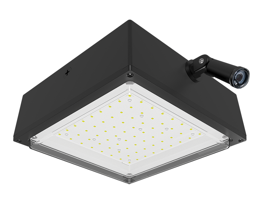 RAB VANLED10N/PCS VNDLPRF CANOPY 10 RAB VANLED10N/PCS VNDLPRF CANOPY 10