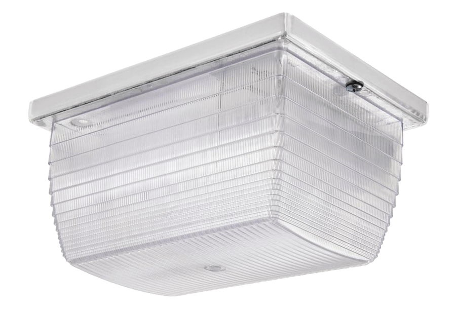 VANDALPROOF 6 Inch  X 8 Inch  CEILING 75W INCANDESCENT