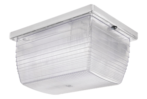 VANDALPROOF 6 Inch X 8 Inch CEILING 75W INCANDESCENT