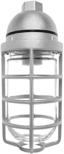 VAPORPROOF 100 PENDANT 1/2 Inch WITH GLASS GLOBE CAST GUARD