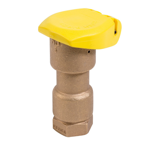 5RC - 1 in. Quick Coupling Valve