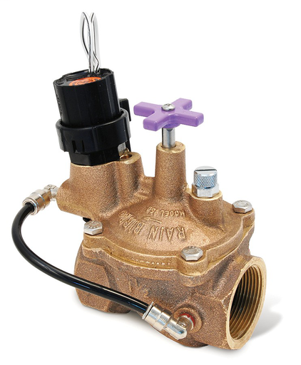 200EFBCP - 2 in. Brass Irrigation Valve