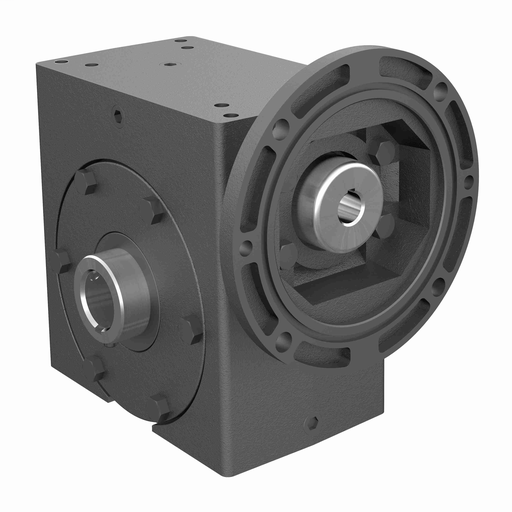 Cast Iron Single-Reduction Worm Reducer