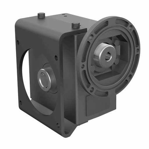 Cast Iron Single-Reduction Worm Reducer