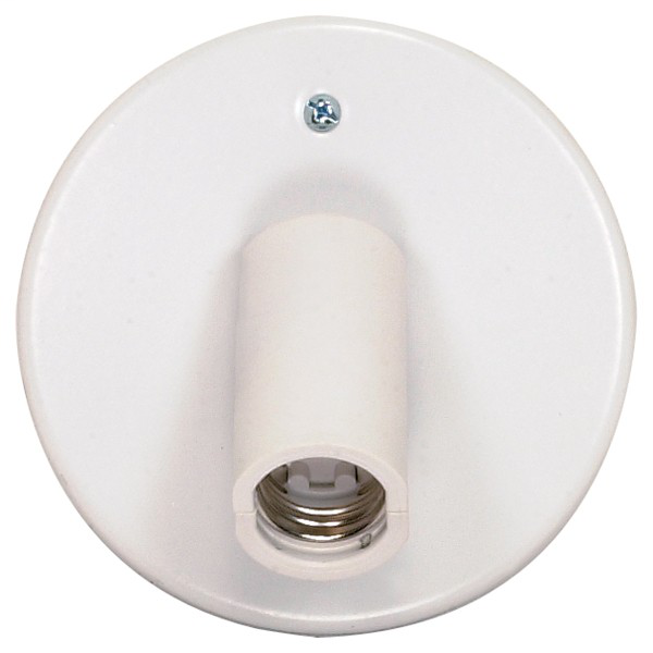 One Light Ceiling Swivel Fixture