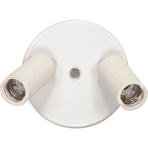 Two Light Ceiling Swivel Fixture