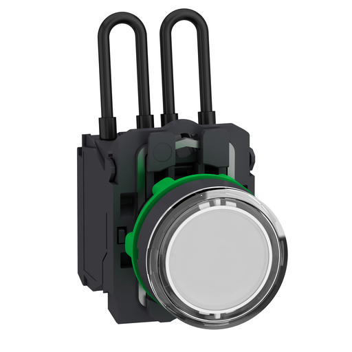 Push-to-test pilot light 24v white
