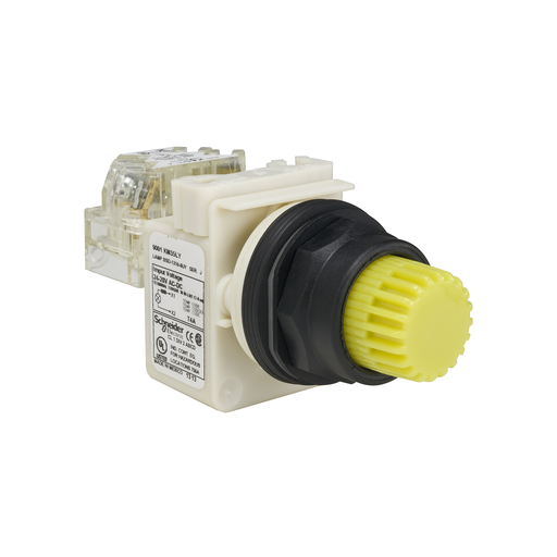 PUSHBUTTON 600VAC 10AMP 30MM SK +OPTIONS