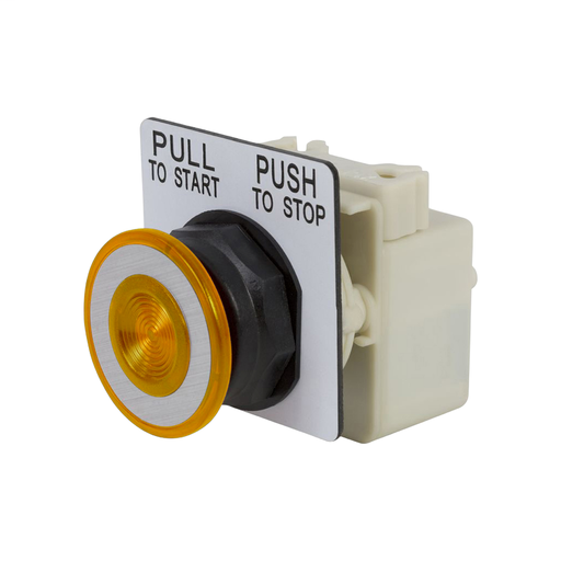 PUSHBUTTON 600VAC 10AMP 30MM SK +OPTIONS