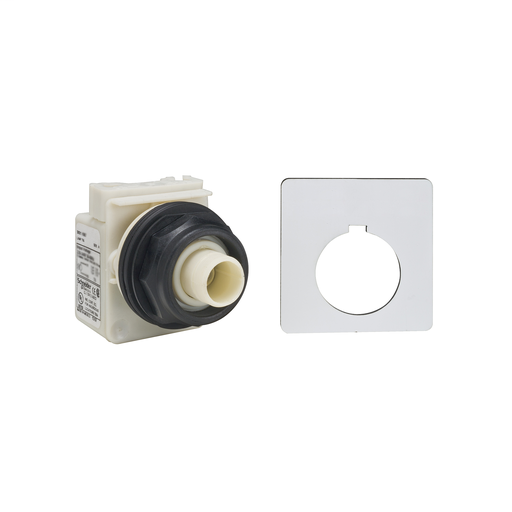 PUSHBUTTON 120V 30MM SK +OPTIONS