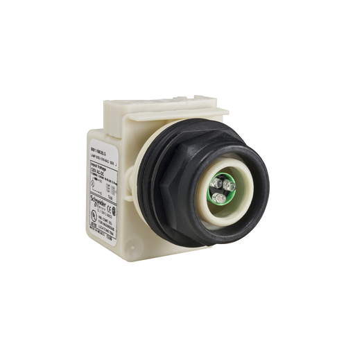 PILOT LIGHT 120V 30MM SK +OPTIONS