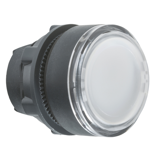 White flush pushbutton head Ø22 spring return unmarked