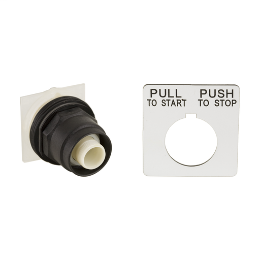 PUSHBUTTON 600VAC 10AMP 30MM SK +OPTIONS