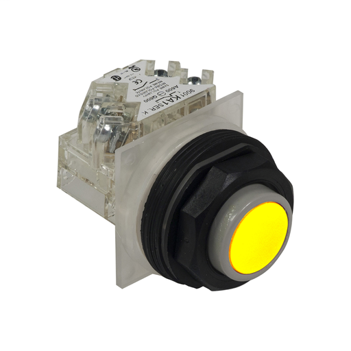PUSHBUTTON 600VAC 10AMP 30MM SK +OPTIONS
