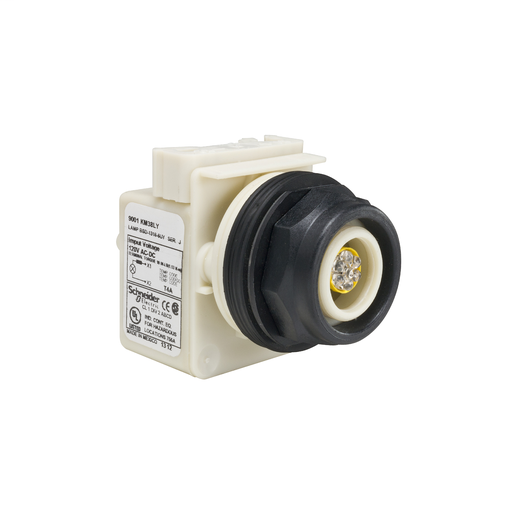 PILOT LIGHT 120V 30MM SK +OPTIONS
