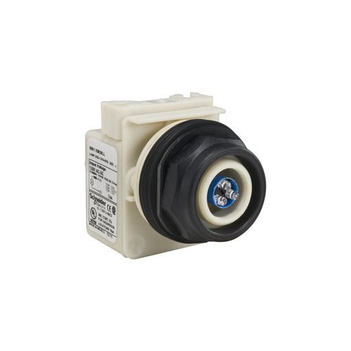 PILOT LIGHT 120V 30MM SK + OPTIONS