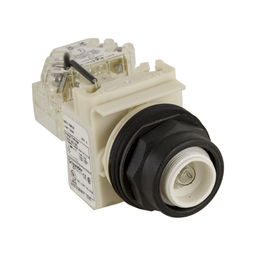 9001SKT38 - PILOT LIGHT 120V 30MM SK +OPTIONS