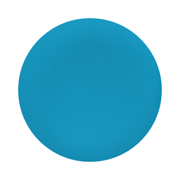 ZBA6 - Blue cap unmarked for circular flush pushbutton Ø22