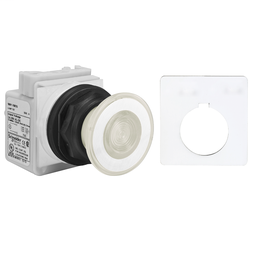 9001SKR9P1WH13 - PUSHBUTTON 120VAC 30MM SK +OPTIONS