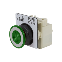 9001SKR8P5GH25 - PUSHBUTTON 480VAC 30MM SK +OPTIONS