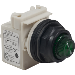 9001SKP1LRR31 - PILOT LIGHT 120VAC 30MM SK +OPTIONS