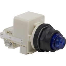 9001SKT38LLL31 - PILOT LIGHT 120V 30MM SKT +OPTIONS