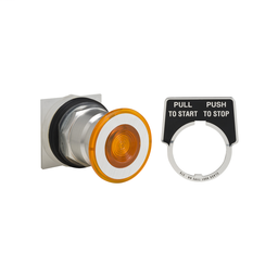 9001KR8A - PUSHBUTTON OPERATOR 30MM TYPE K +OPTIONS