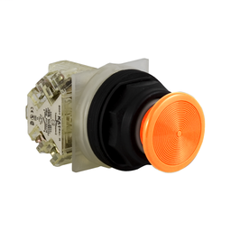 9001SKR24SH13 - PUSHBUTTON 600VAC 10AMP 30MM SK +OPTIONS