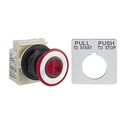 9001SKR9P55R05 - PUSHBUTTON 24V 30MM SK + OPTIONS