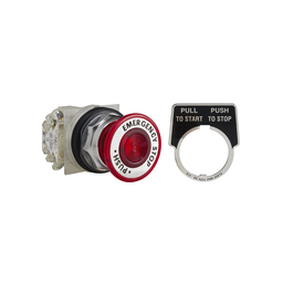 9001KR9R05H13 - PUSH BUTTON 600VAC 10A 30MM T-K